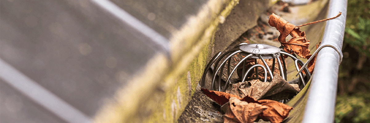Fallrohrschutz Kategorie Header