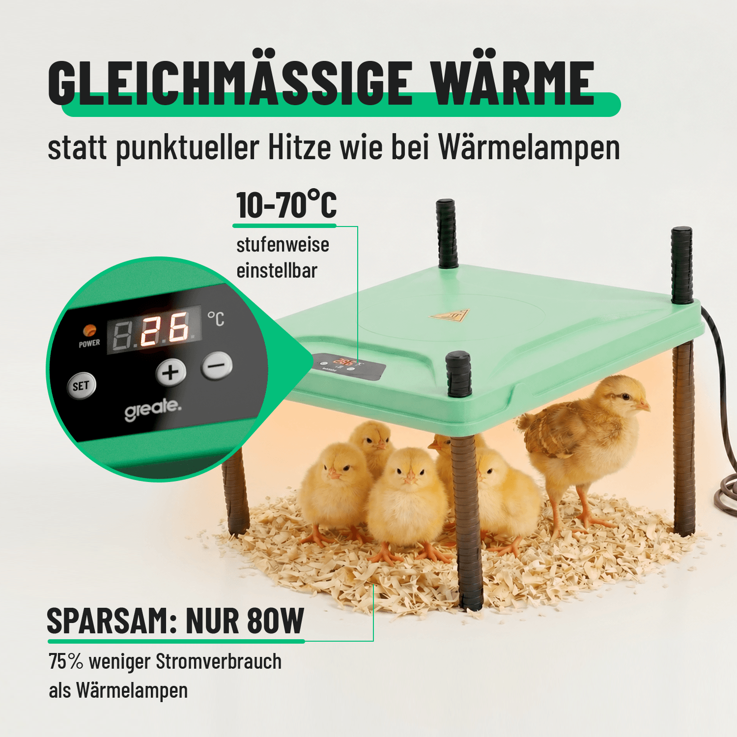 Wärmeplatte Küken