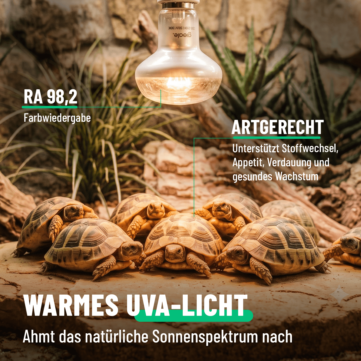 UVA Terrarium Lampe E27 50W