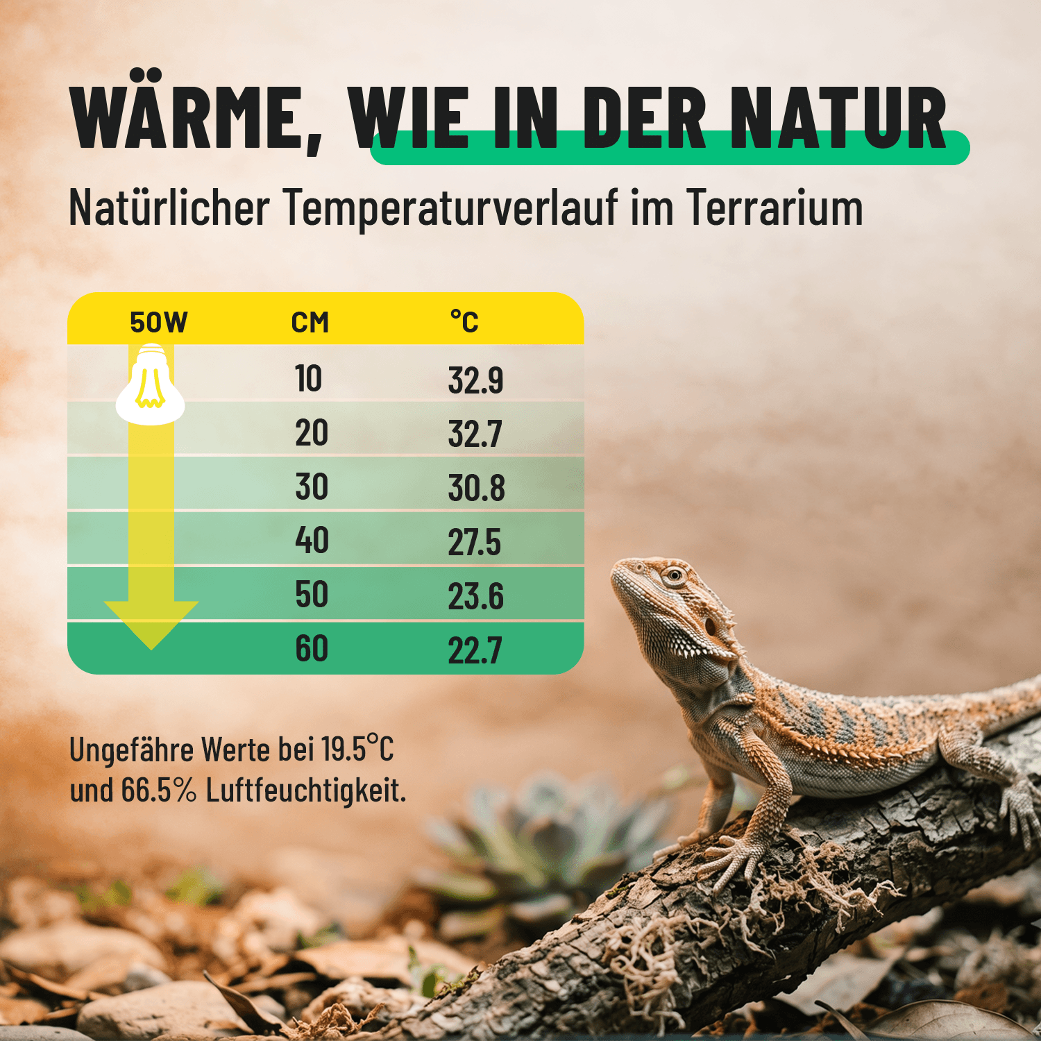 UVA Terrarium Lampe E27 50W