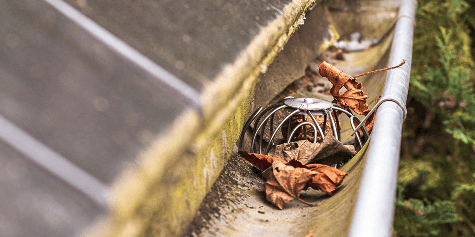 Fallrohrschutz Kategorie Header