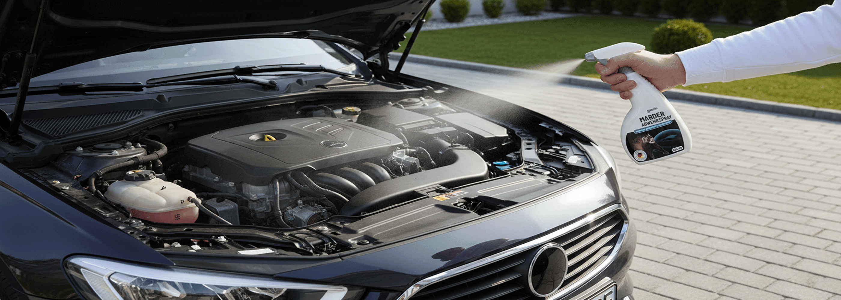 Header greate Marderspray