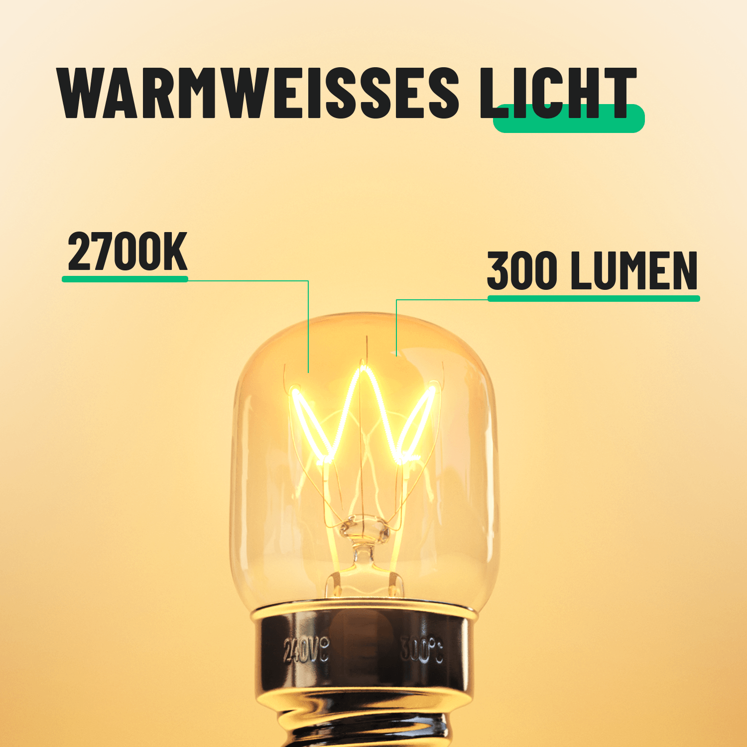 Backofenlampe 40W 300 Grad