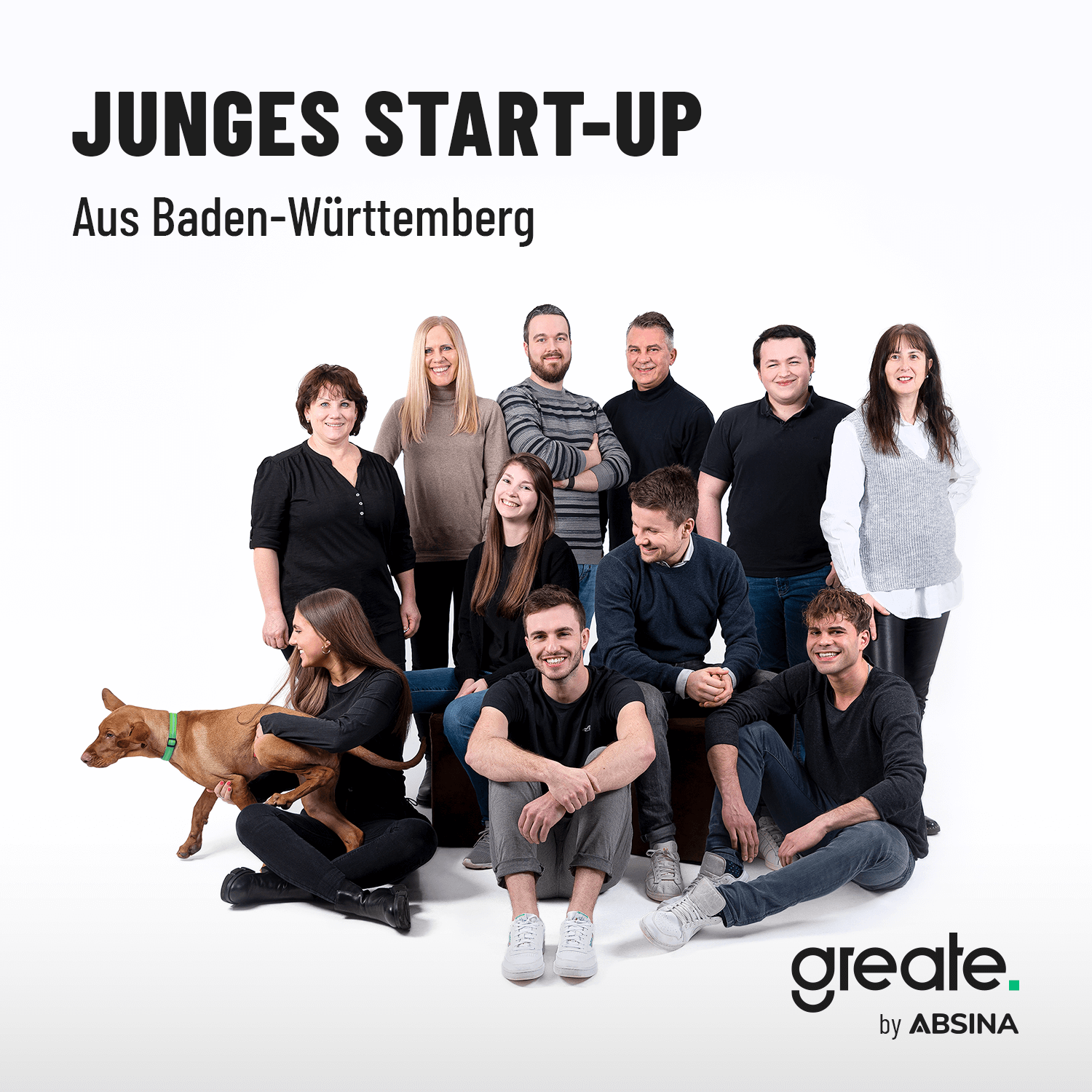 Bau Universalschlüssel mit Wendebit