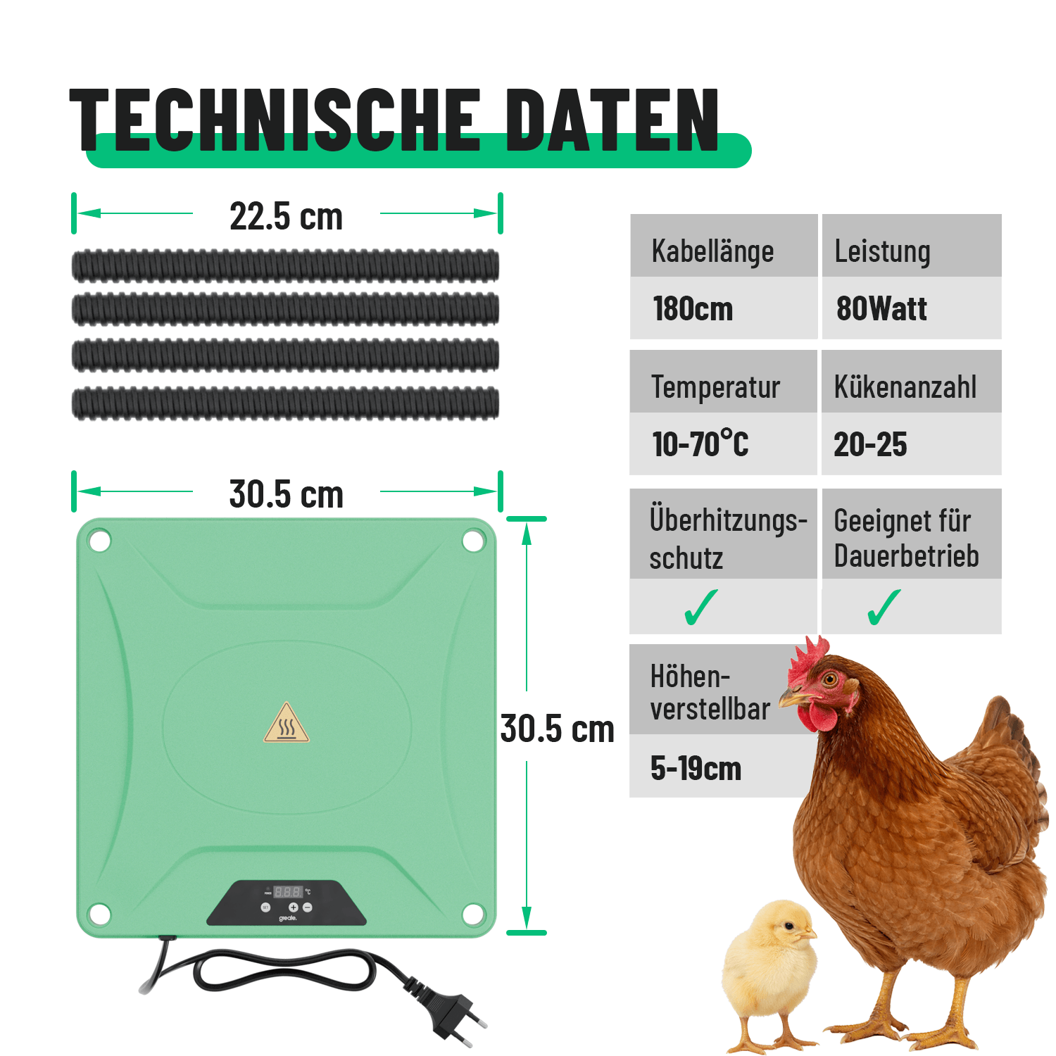 Wärmeplatte Küken